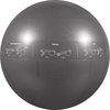 Gofit Professional Grade Core Stability Ball (75cm; Silver) GF-75PRO